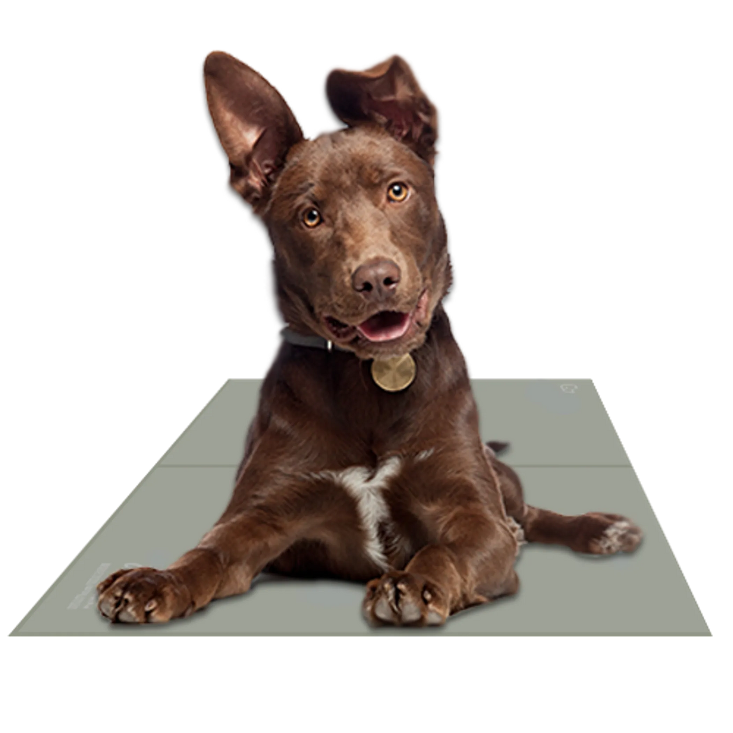 Chillz Gel Cooling Mat for Dogs & Cats – Pressure-Activated, No Electricity Needed