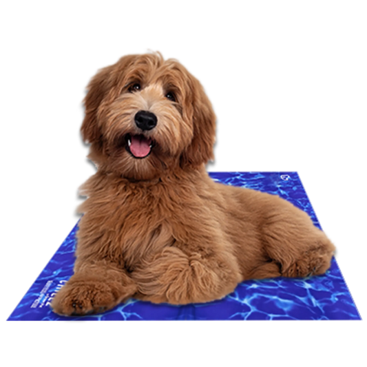 Chillz Gel Cooling Mat for Dogs & Cats – Wave | Pressure-Activated, No Electricity Needed