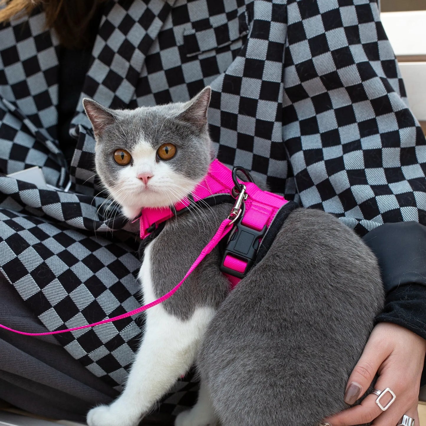 Mr. Peanut's PurrTrek Reflective Cat Harness with Matching Leash – Escape-Proof, Adjustable | XS & Small