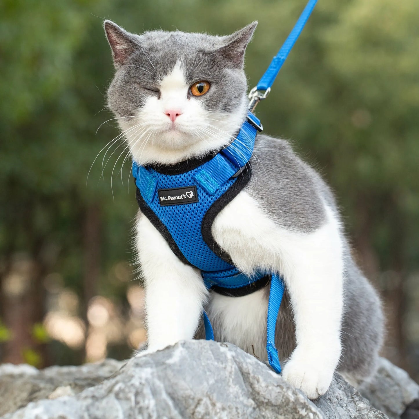 Mr. Peanut's PurrTrek Reflective Cat Harness with Matching Leash – Escape-Proof, Adjustable | XS & Small