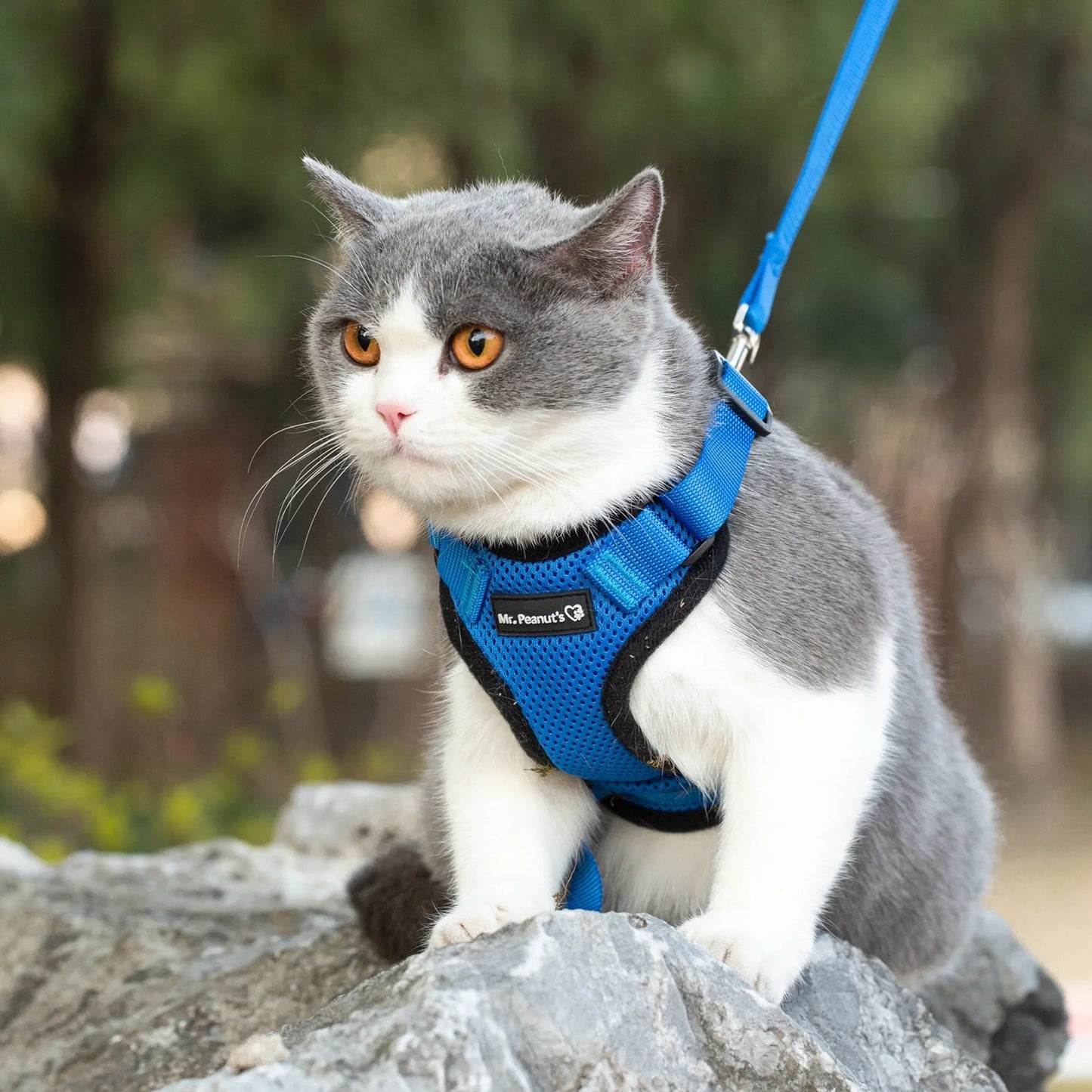 Mr. Peanut's PurrTrek Reflective Cat Harness with Matching Leash – Escape-Proof, Adjustable | XS & Small
