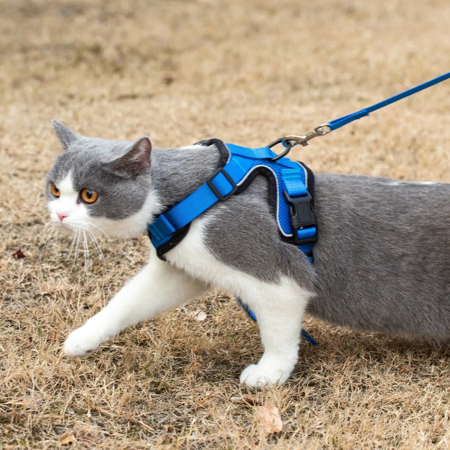 Mr. Peanut's PurrTrek Reflective Cat Harness with Matching Leash – Escape-Proof, Adjustable | XS & Small