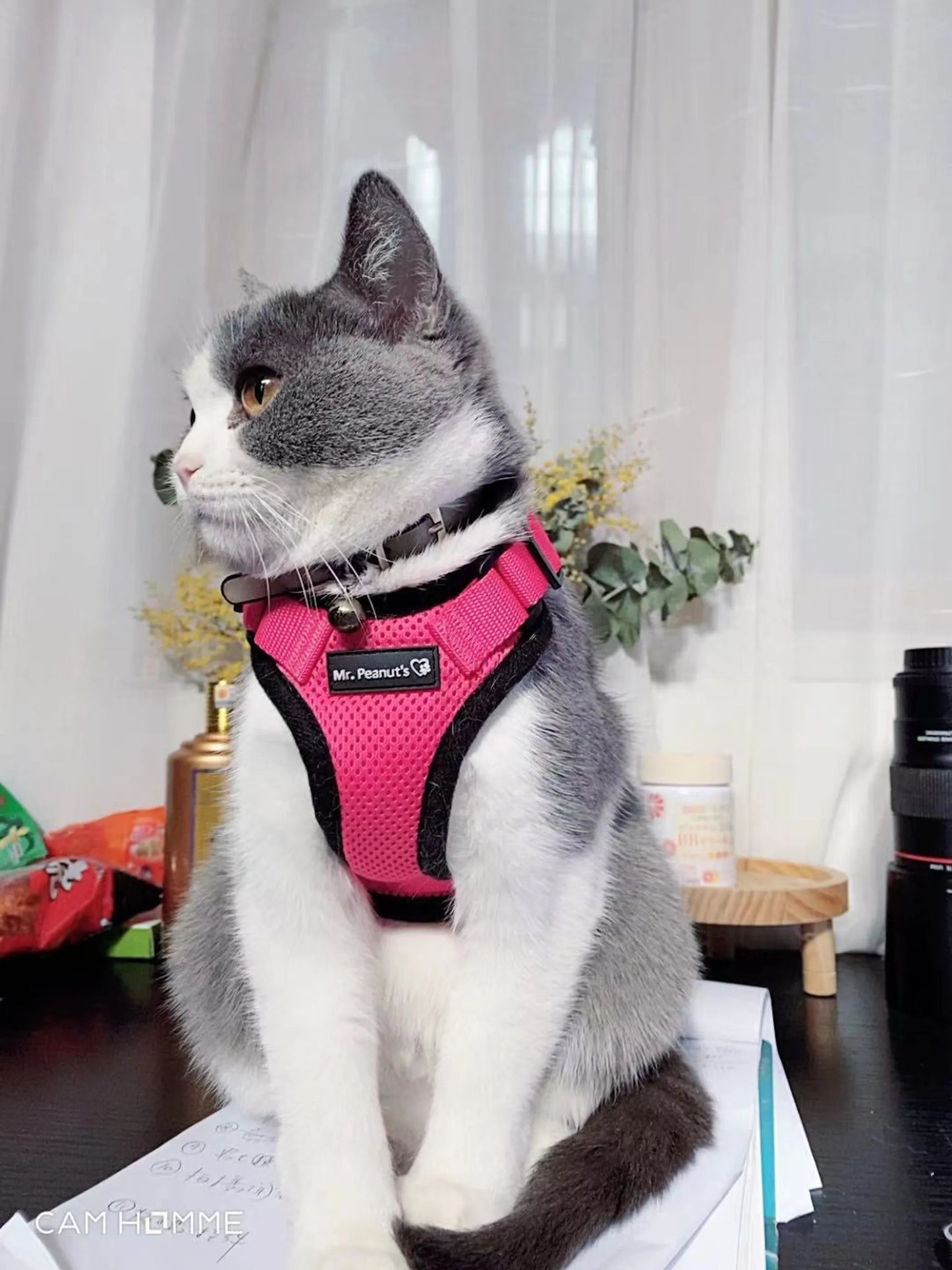 Mr. Peanut's PurrTrek Reflective Cat Harness with Matching Leash – Escape-Proof, Adjustable | XS & Small