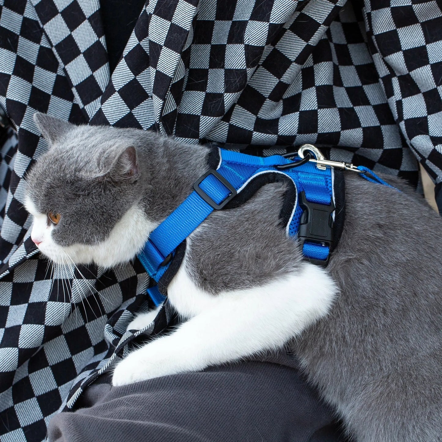 Mr. Peanut's PurrTrek Reflective Cat Harness with Matching Leash – Escape-Proof, Adjustable | XS & Small