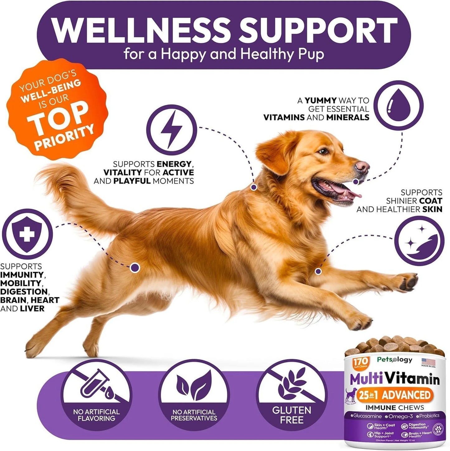 2 Pack Multivitamin Chews for Dogs 25-IN-1 Skin Coat Immune & Digestive Boost